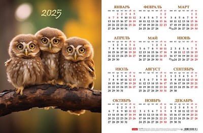 Календарь настенный листовой  А3ф 435X290мм на 2024г Картон мелованный -Совята- - фото 12407063