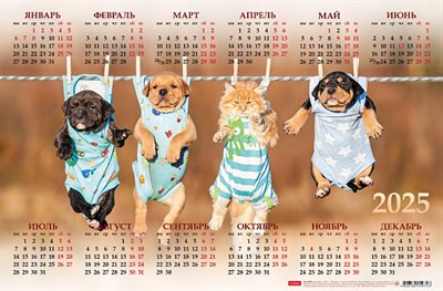 Календарь настенный листовой  А3ф 435X290мм на 2025г Картон мелованный -Весело живём- - фото 12407069